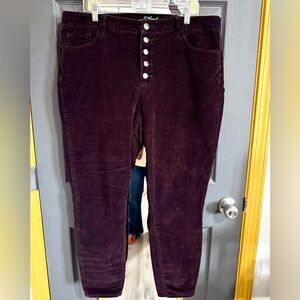 Purple Corduroy Button-Fly Pants
